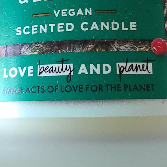 BELOVED JUNIPER & BERGAMOT VEGAN CANDLE | 11.5 oz SOY BLEND| PETA APPROVED - Picture 6 of 8